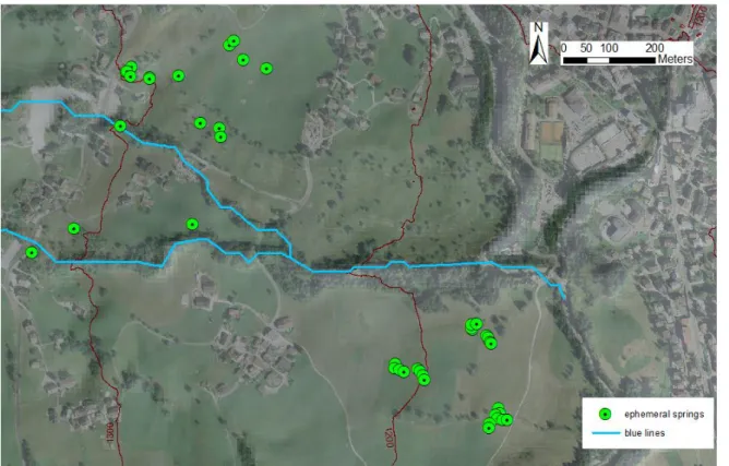 Fig. 36: ephemeral springs located in the lower part of the Mortisa slope Col Drusciè 