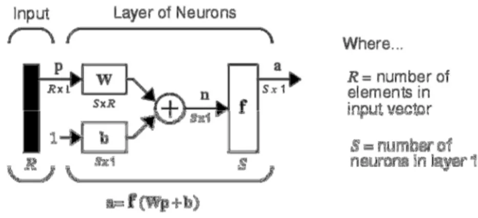 Figure 2.8 – Synthetic logical scheme of a layer of neurons subjected to a vector input