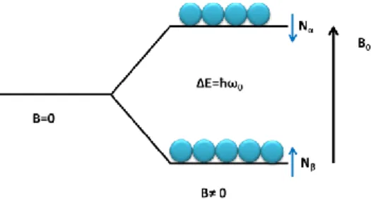 Figure 2.1 Schematic representation of the two energy states generated on protons by the B 0 