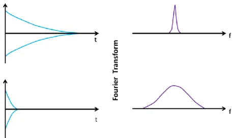 Figure 2.4 Different FIDs and the respective representation in the frequency domain.