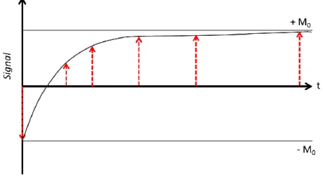 Figure 2.5 Signal of a typical IR experiment.