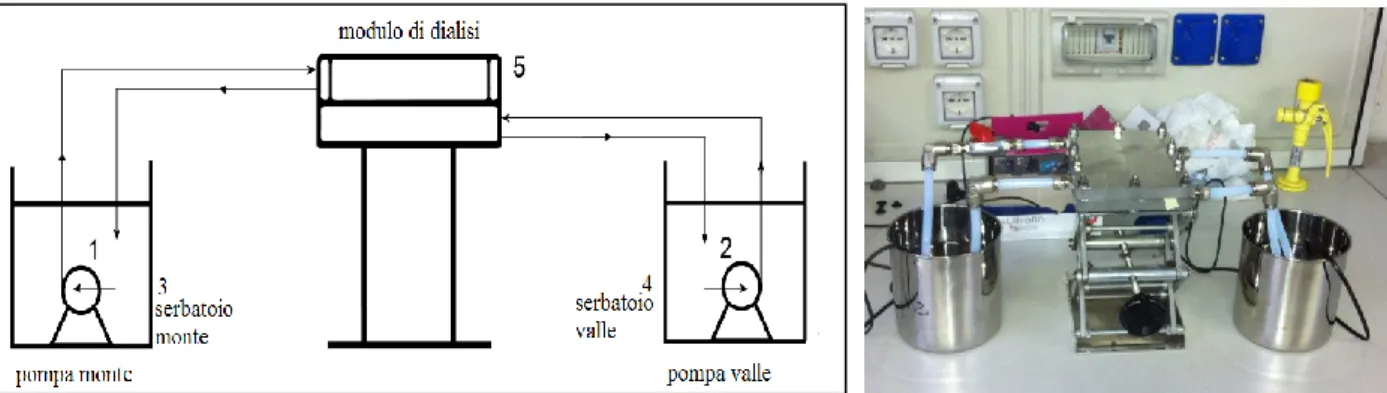 Figura 4. 16 Schema e immagine dell’apparato utilizzato per lo svolgimento delle prove di dialisi