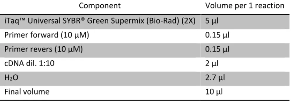 Table 15: Mix used during the assay to evaluate genes expression levels. 