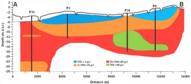 Figure 4.8 - TDS distribution along the A-A’ transect of the coastal aquifer.  