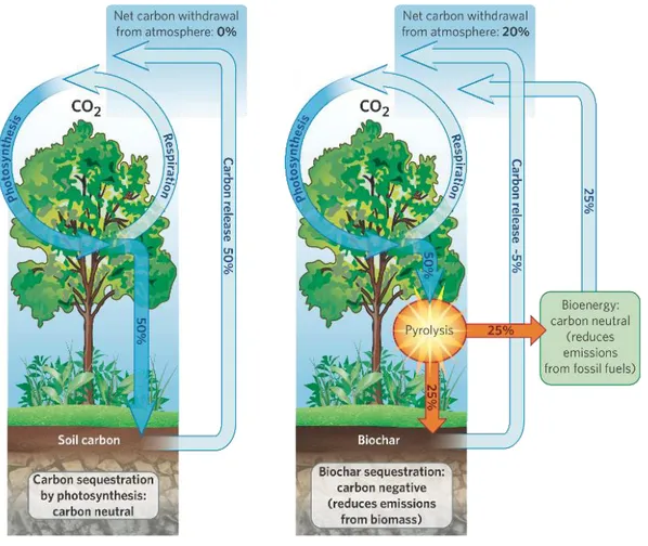Figure  3.  Scheme  of  biochar  driven  soil  carbon  sequestration.  Diagram  from  Nature  Publishing Group (Lehmann, 2007)