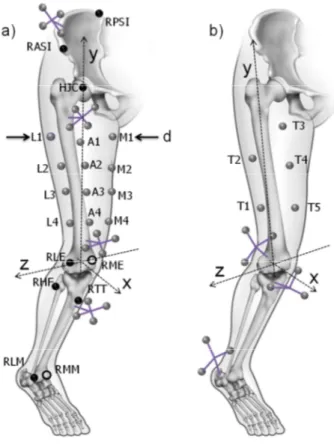 Figure 3.1 - Ex-vivo (a) and in-vivo (b) experimental set-ups. The pin-marker clusters, the skin-markers and  the calibrated anatomical landmarks (black dots) are indicated