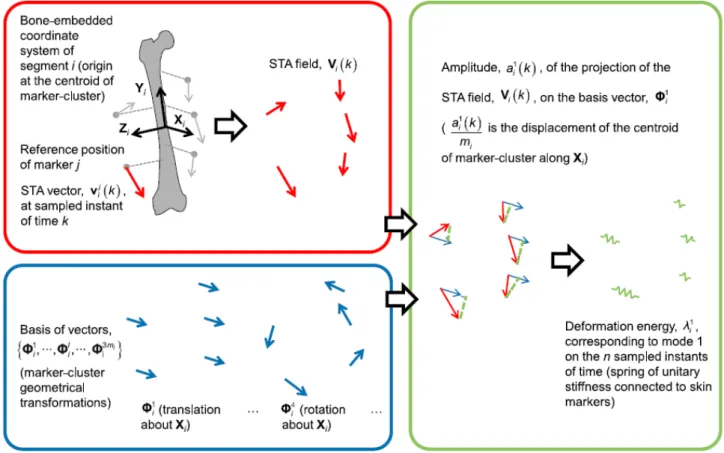 Figure 4.1 – Framework of the generalized mathematical representation of the STA. 