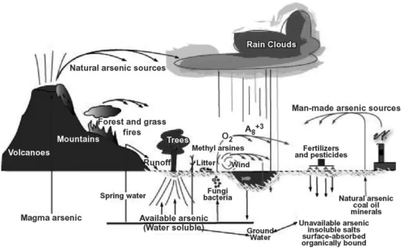 Figura 3. Ciclo dell'arsenico nell'ambiente, tratto da Jones 2007 