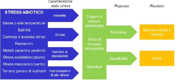 Figura 1. Rappresentazione schematica delle tipologie di stress abiotici  a cui le piante possono  essere sottoposte, e delle risposte attuate dalla pianta in base alle caratteristiche dello stress,  al tipo di organo interessato, allo stato di sviluppo de