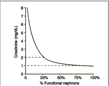 Figura 1.3: La curva rappresenta la relazione tra lʼaumento della creatinina e la percentuale dei nefroni  funzionanti