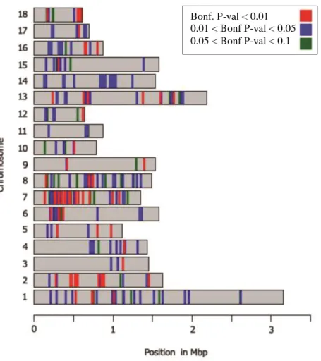 Figure 1. Distribution of single nucleotide polymorphisms with P Bonferroni  &lt;0.10 (green), &lt;0.05  (blue) and &lt;0.01 (red) along all pig autosomes