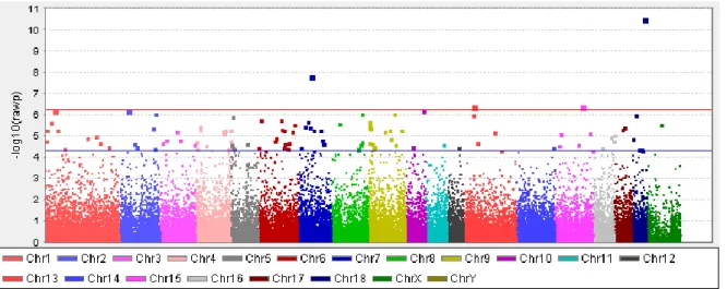 Figure 1. Manhattan plot of genome wide association results for backfat thickness in Italian Large  White pigs