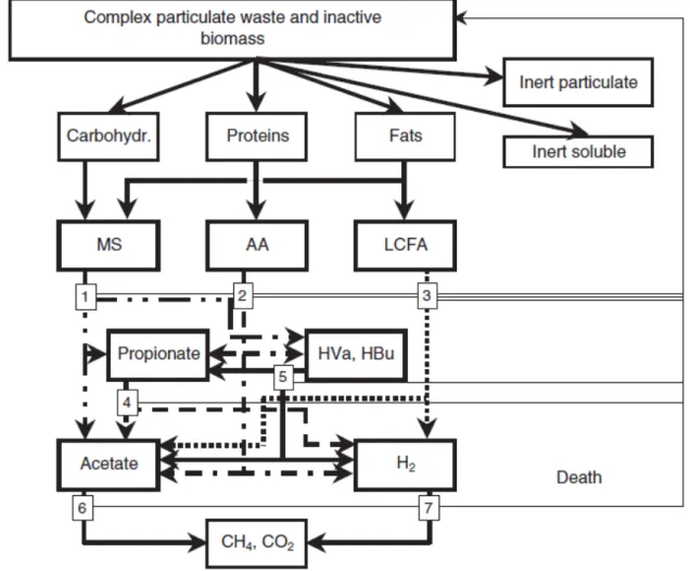 Fig.  1.16  –  Rappresentazione  schematica  dei  processi  presenti  nel  modello  ADM1  (Batstone,  2002)