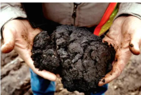 Fig.  2.1.2  Example  of  raw  bitumen  extracted  from  Alberta’s  oil  sands  (Images  courtesy  of  Syncrude  Canada Ltd.) 