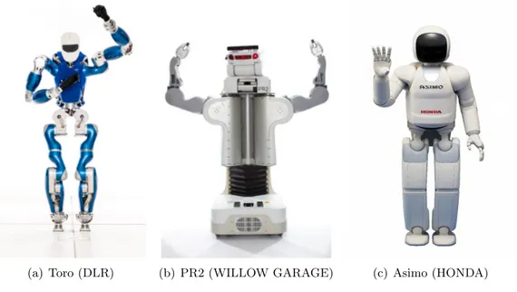 Figure 2.6: Humanoid robots