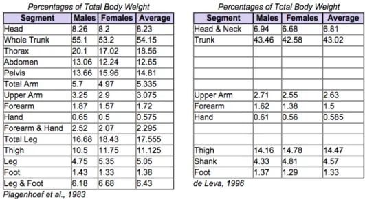 Figure 2.7: Average distribution of human weight