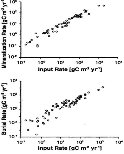 Figura   2.3.  Tassi   d’immissione   del   carbonio   organico   plottati   contro   quelli   di mineralizzazione e di seppellimento (Zabel et al., 2000)