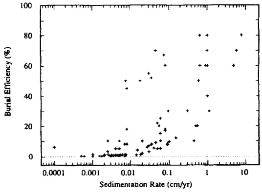 Figura 2.5.  Efficienza di seppellimento del carbonio organico (in percentuale) plottata contro il tasso di sedimentazione, per differenti ambienti marini