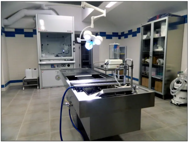 Figura 7: laboratorio per la perfusione dei cadaveri e preparazione anatomica  presso la sala settoria “Gio anni Ma  otti”, Alma Mater Studiorum,  Università di Bologna
