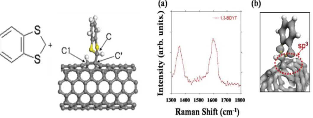 Fig.  19:  Theoretical  simulation  for  the  covalent  adsorption  on  carbon  nanotubes