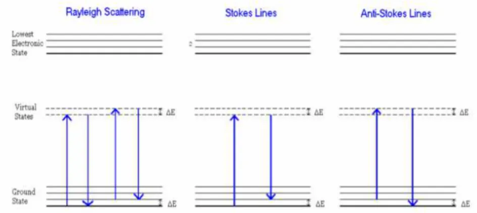 Fig. 10: Scattering of light representation and different stokes and anti-stokes  lines