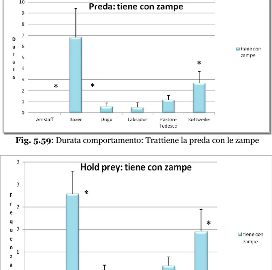 Fig. 5.60: Frequenza del comportamento: Trattiene la preda con le zampe 