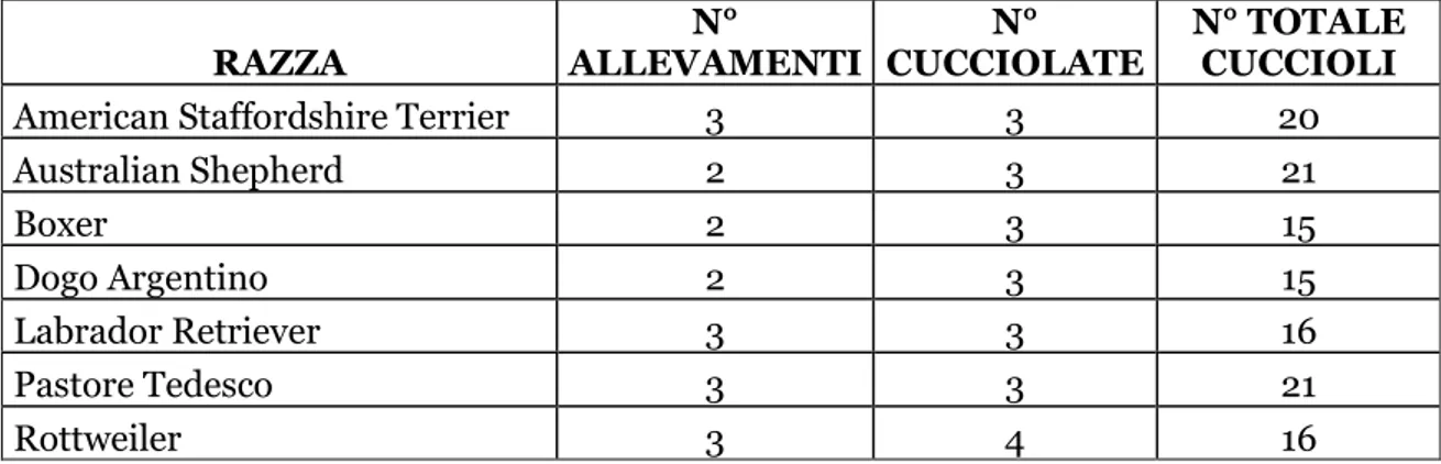 Tabella 5.1: descrizione del campione testato nello studio per ciascuna razza . 