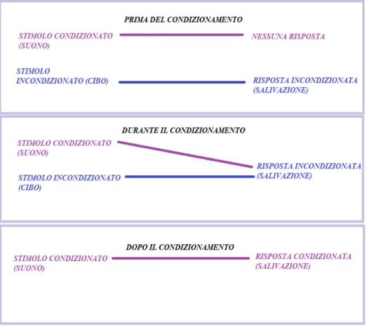 Figura 6: schema che mostra come si realizza il condizionamento classico (Poli e Prato Previde 1994)