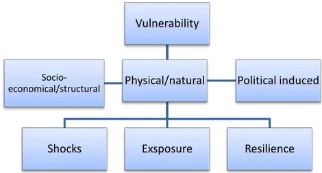 Figure n. 2- Vulnerability concept and components 
