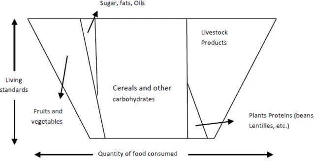 Figure n. 7- Relation between Living standards and Quantity of food  consumed 