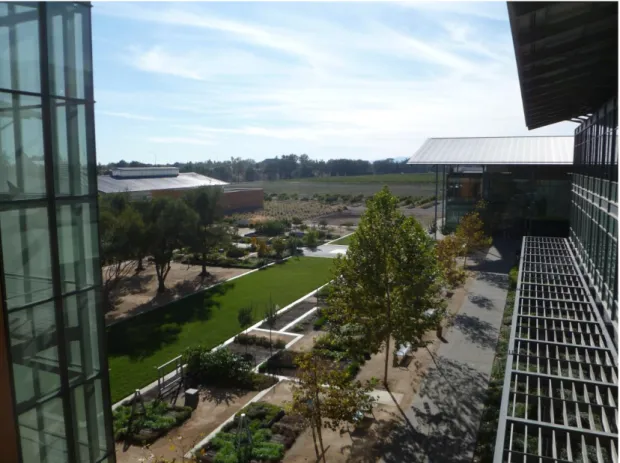 Figura 23 Robert Mondavi Institute: vista dell'istituto. A sinistra la cantina 