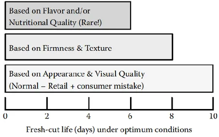Figure  1.2-Fresh-cut  fruits  life  based  on  texture,  nutritional  and  flavor  quality  attributes  (adapted  from  Beaulieu 