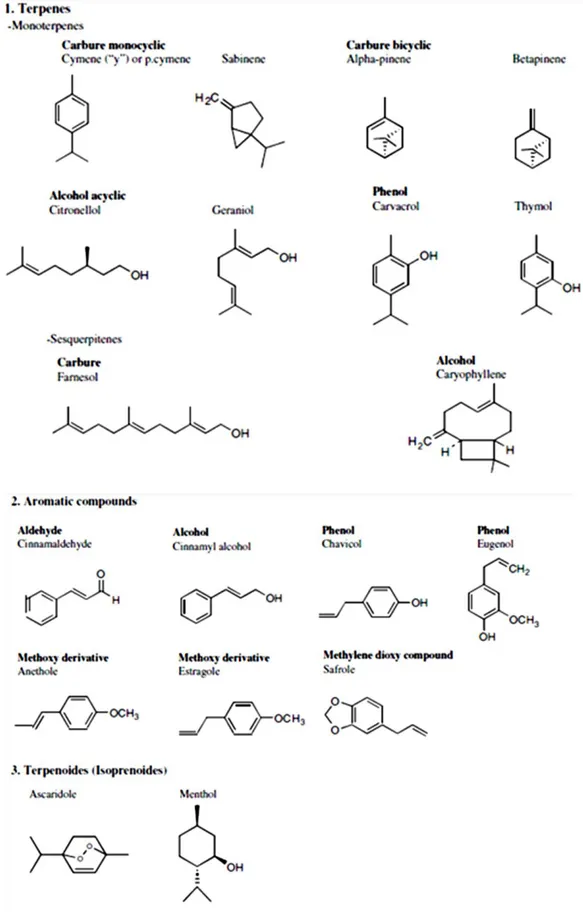 Figure 1.8-Chemical structure of selected aromatic components of essential oils (Bakkali et al., 2008) 