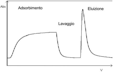 Figura 2.2 Profilo qualitativo di un ciclo completo di Figura 2.2 Profilo qualitativo di un ciclo completo di Figura 2.2 Profilo qualitativo di un ciclo completo di 