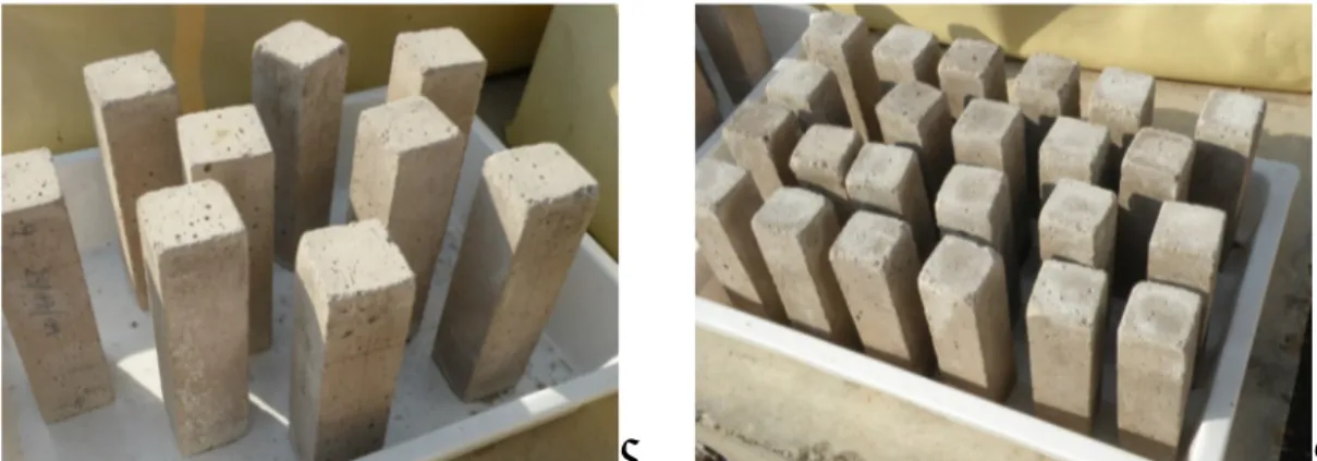 Figure 5.2: Visual decay on mortar prisms during the 3 rd  ageing season: dry (left) and water  (right)  