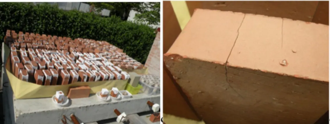Figure 5.17: Appearance of the fired-clay brick sets during the first ageing season (left) and  detail of one brick at the end of the 2 nd  ageing season (right)  