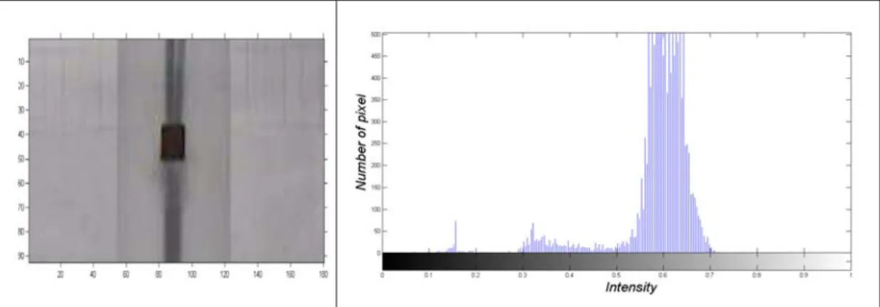 Figure 59: Zoom on selected area of interest before intensity adjustment (left) and its intensity histogram  (right)
