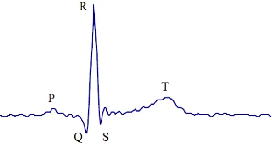Figure 2.9: The typical time-domain ECG tracing of the cardiac cycle 