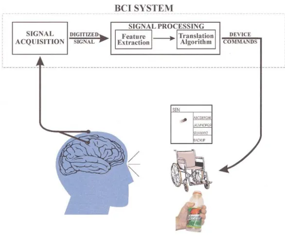 Figure 2.11: Basic design and operation of any BCI system. Signals from the  brain are acquired by electrodes on the scalp or in the head and processed to extract  speciﬁc signal features (e.g