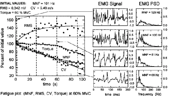 Figure 5: Fatigue plot of a voluntary isometric submaximal (60% MVC) contraction of the Tibialis Anterior  muscle