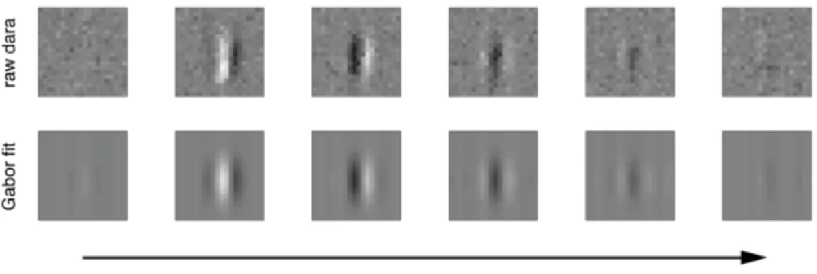 Figure 2.1: A spatio-temporal receptive profile taken from the data set studied in [25] and [20] (cell n.15 in the latter reference)