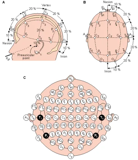 Figure 2.2 A-B) Standard international 10-20 electrodes placement system; C)  Standard international 10-5 electrodes placement system 