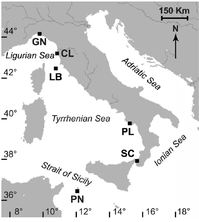 Figure 1. Map of the Italian coastline indicating the sites where corals were collected
