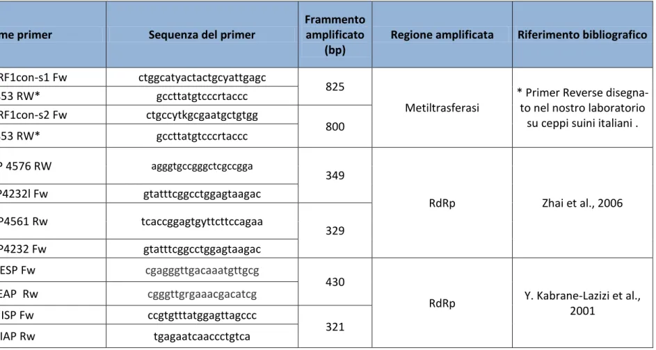 Tabella 6.2: primers utilizzati per la diagnostica di HEV nel suino. 