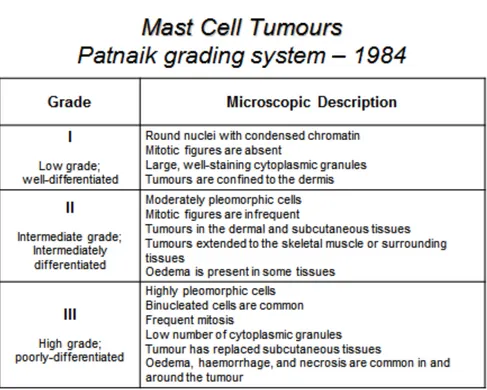 Table 1.Patnaik grading system for canine mast cell tumours. 