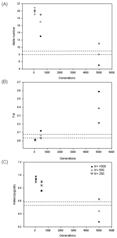 Figure 6. Plot of the average number of alleles per locus (A), F ST  values (B) and observed heterozygosity (C), computed  simulating two populations of different size (N = 250, 500 and 1000), that were allowed to evolve independently at 33  unlinked autos
