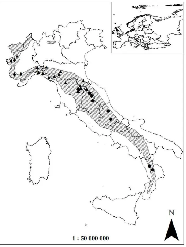 Figure  M.1.1 Distribution of the analyzed studies on wolf diet in Italy carried out from 1976  to 2004 (circles: south-central Apennines; triangles: northern Apennines; diamonds: western  Alps; shaded area: wolf range)