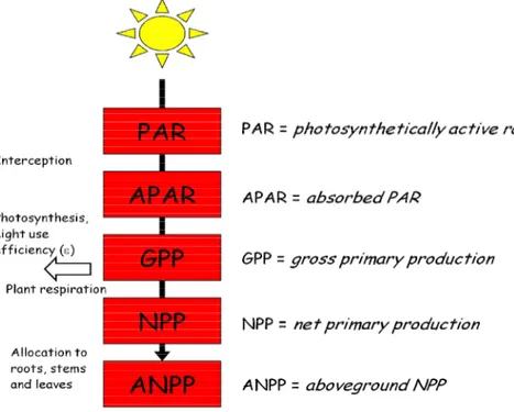 Figure 5    A schematic diagram of the carbon balance. 