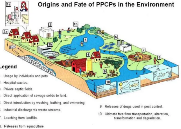 Fig. 1.1. Origins and fate of pharmaceuticals and personal care products (PPCPs) in the environment (Source: EPA) 