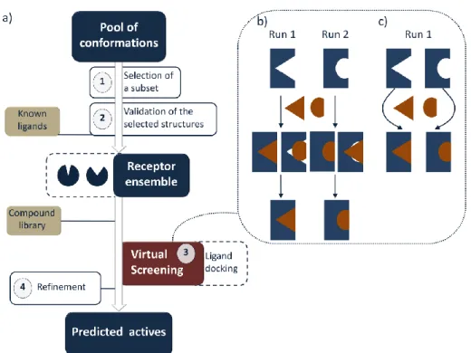 Figure 4. a) Schematic representation of the Ensemble-based Virtual Screening. b) and c)  Combinations of multiple conformations in an Ensemble-based Virtual Screening